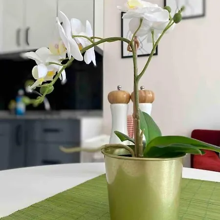 Apartmán 6-kaleici Markantalya Shopping Center 5 Minutes